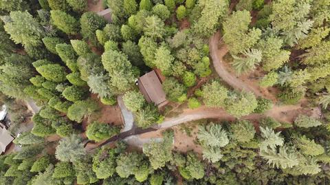 98 Towle Hill Rd, Alta, CA 95701 photo 43
