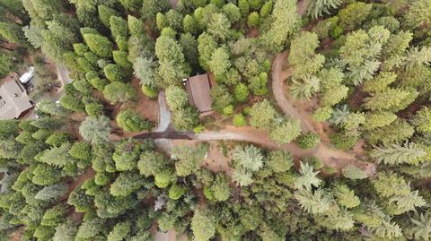 98 Towle Hill Rd, Alta, CA 95701 photo 45
