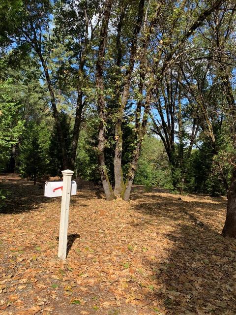 13638 Meadows End, Grass Valley, CA 95945 photo 13