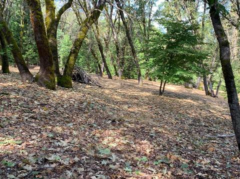 13638 Meadows End, Grass Valley, CA 95945 photo 10