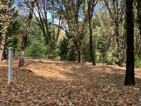 13638 Meadows End, Grass Valley, CA 95945 photo 7