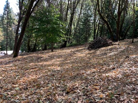 13638 Meadows End, Grass Valley, CA 95945 photo 5