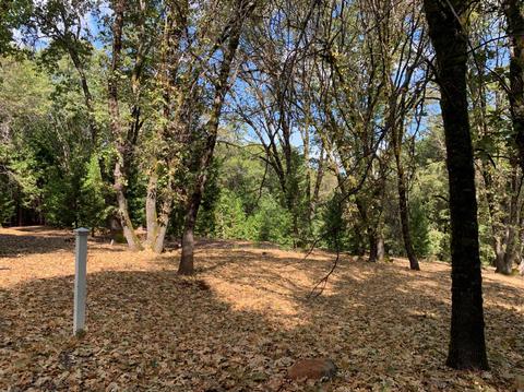 13638 Meadows End, Grass Valley, CA 95945 photo 4