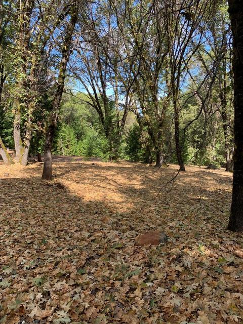 13638 Meadows End, Grass Valley, CA 95945 photo 9