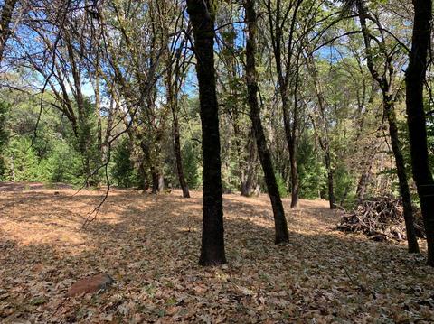 13638 Meadows End, Grass Valley, CA 95945 photo 2