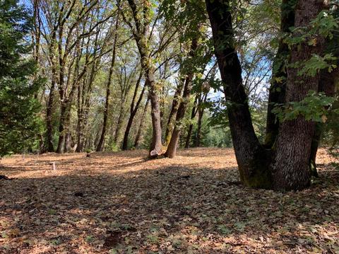 13638 Meadows End, Grass Valley, CA 95945 photo 1