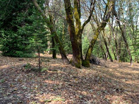 13638 Meadows End, Grass Valley, CA 95945 photo 11