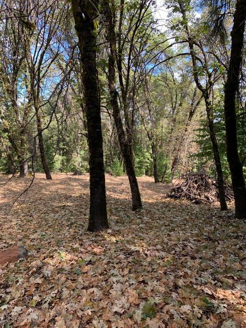 13638 Meadows End, Grass Valley, CA 95945 photo 12