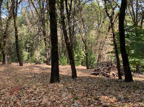 13638 Meadows End, Grass Valley, CA 95945 photo 8
