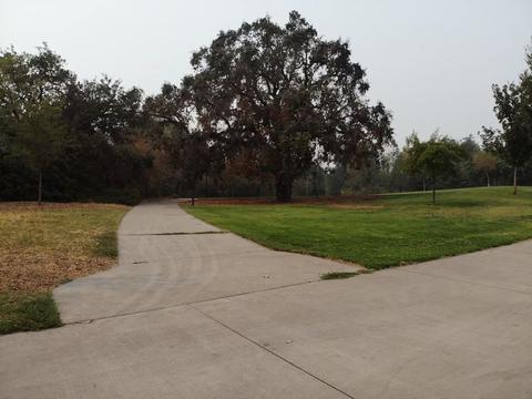 1061 Trinita Ter, Davis, CA 95618 photo 30
