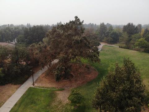 1061 Trinita Ter, Davis, CA 95618 photo 32