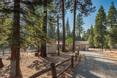 19711 Squirrel Ct, Volcano, CA 95689 photo 44