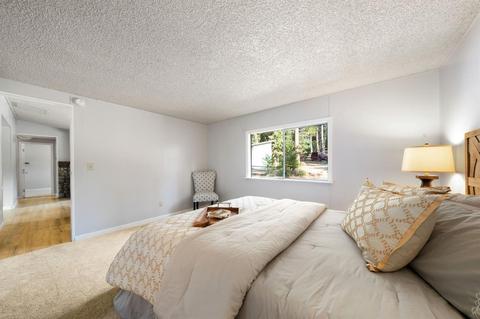 19711 Squirrel Ct, Volcano, CA 95689 photo 36
