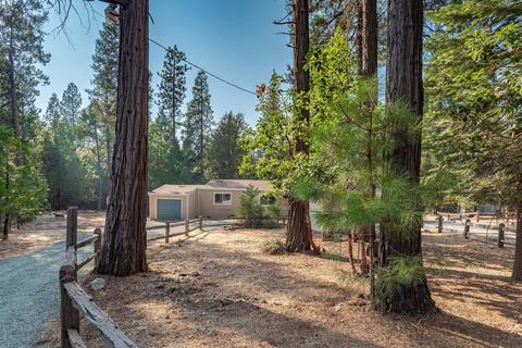 19711 Squirrel Ct, Volcano, CA 95689 photo 37