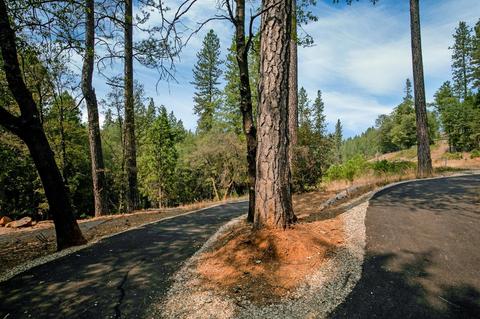840 Freeman Ln, Grass Valley, CA 95949 photo 59