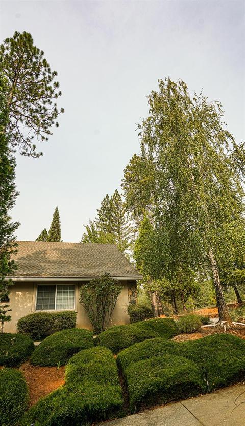 840 Freeman Ln, Grass Valley, CA 95949 photo 4
