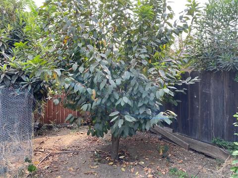 1812 Donald St, Modesto, CA 95351 photo 28