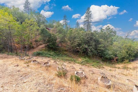 4864 Pearson Psge, Murphys, CA 95247 photo 44