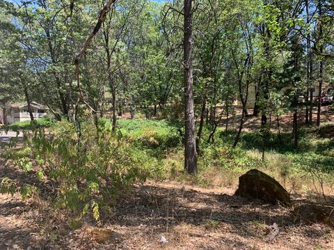 15775 Tippy Way, Grass Valley, CA 95949 photo 4