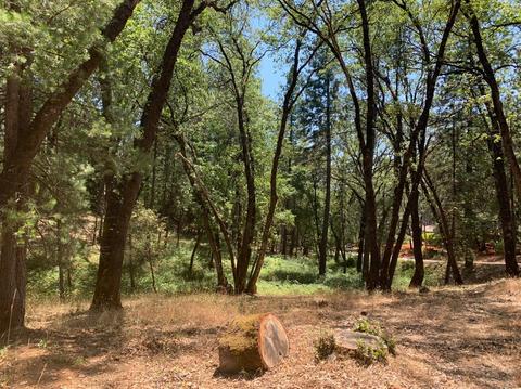 15775 Tippy Way, Grass Valley, CA 95949 photo 2