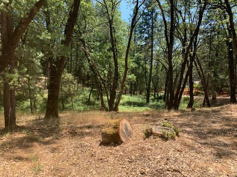 15775 Tippy Way, Grass Valley, CA 95949 photo 5