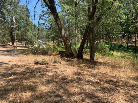 15775 Tippy Way, Grass Valley, CA 95949 photo 3