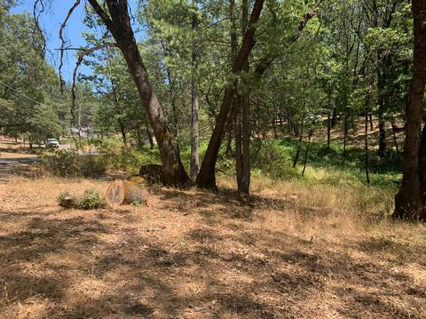15775 Tippy Way, Grass Valley, CA 95949 photo 1