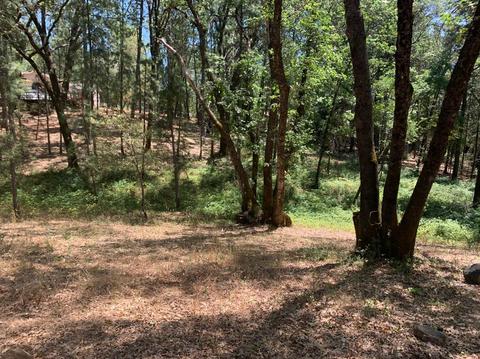 15775 Tippy Way, Grass Valley, CA 95949 photo 6
