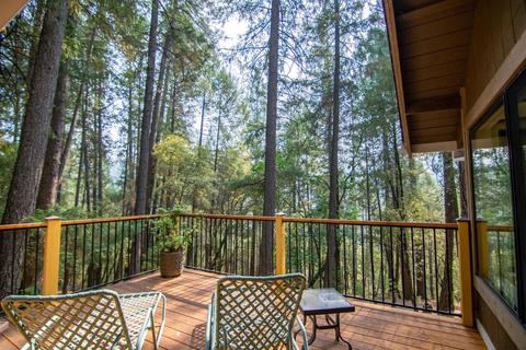 22805 Tree Farm Rd, Colfax, CA 95713 photo 23
