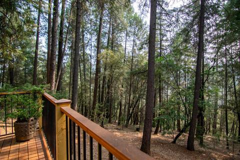 22805 Tree Farm Rd, Colfax, CA 95713 photo 35
