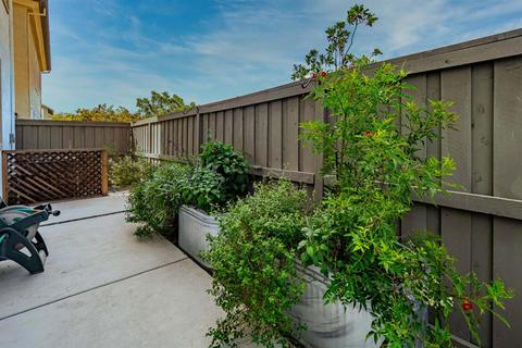 957 Tangella Ter, Davis, CA 95616 photo 24
