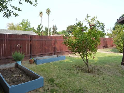2500 Zuider Zee Cir, Elverta, CA 95626 photo 41