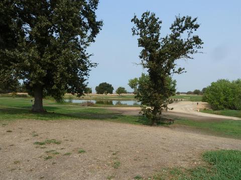 2500 Zuider Zee Cir, Elverta, CA 95626 photo 60