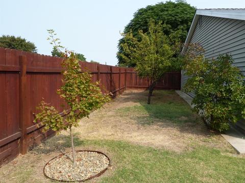 2500 Zuider Zee Cir, Elverta, CA 95626 photo 52