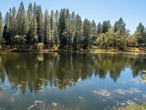 4630 Chrome Ridge Ct, Placerville, CA 95667 photo 47