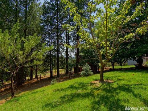5021 Mac Leod Trl, Georgetown, CA 95634 photo 21