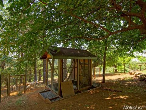 5021 Mac Leod Trl, Georgetown, CA 95634 photo 22