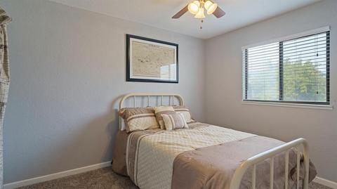1413 Elena Dr, Ripon, CA 95366 photo 25