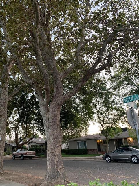 548 Bodem St, Modesto, CA 95350 photo 10