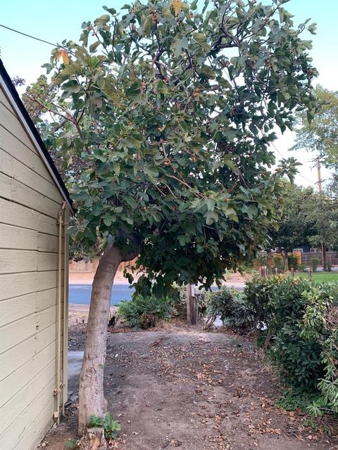 548 Bodem St, Modesto, CA 95350 photo 48