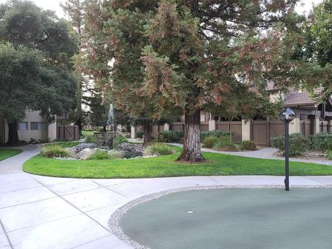 3701 Colonial Dr #221, Modesto, CA 95356 photo 19