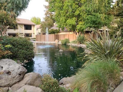 3701 Colonial Dr #221, Modesto, CA 95356 photo 21