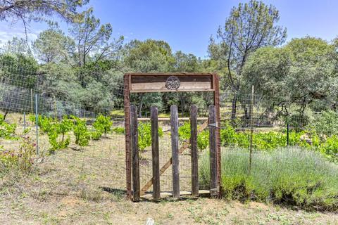 1501 Quail Run Rd, Placerville, CA 95667 photo 48
