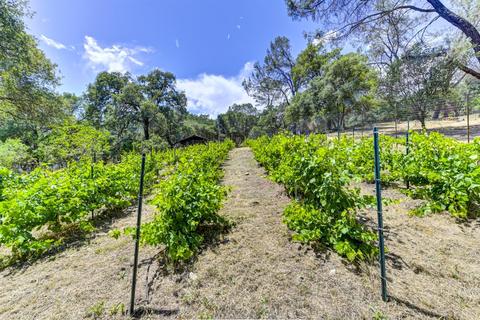 1501 Quail Run Rd, Placerville, CA 95667 photo 49