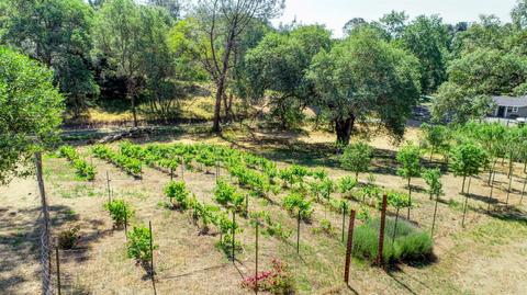 1501 Quail Run Rd, Placerville, CA 95667 photo 40