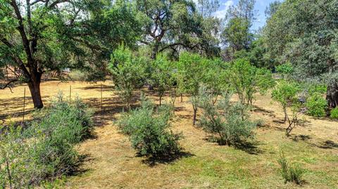 1501 Quail Run Rd, Placerville, CA 95667 photo 54