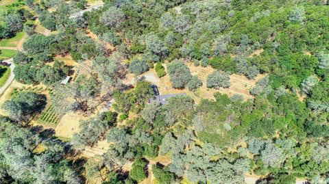 1501 Quail Run Rd, Placerville, CA 95667 photo 43