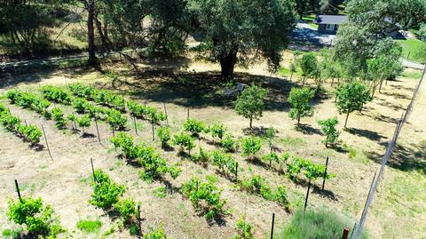 1501 Quail Run Rd, Placerville, CA 95667 photo 41