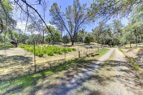 1501 Quail Run Rd, Placerville, CA 95667 photo 46
