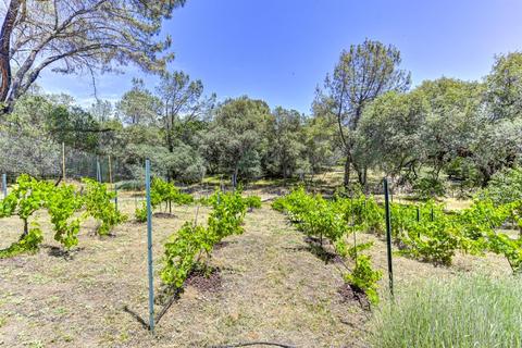 1501 Quail Run Rd, Placerville, CA 95667 photo 51